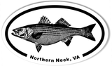 Striped Bass Northern Neck Oval Stickers 3x5"