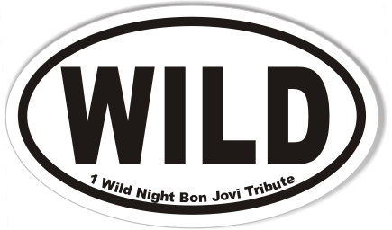 WILD 1 Wild Night 3x5" Custom Oval Bumper Stickers
